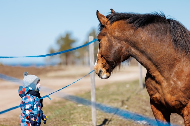 Seitenansicht des Kindes, das Pferd auf der Ranch füttert