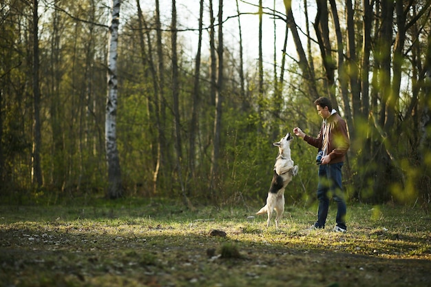 Seitenansicht des männlichen Besitzers, der mit einem großen Schäferhund spielt, der auf Hinterfüßen auf dem Rasen im Wald steht