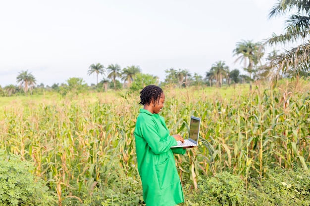 Seitenansicht einer aufgeregten schwarzen Agronomin, die ein landwirtschaftliches Feld mit einem Laptop überprüft