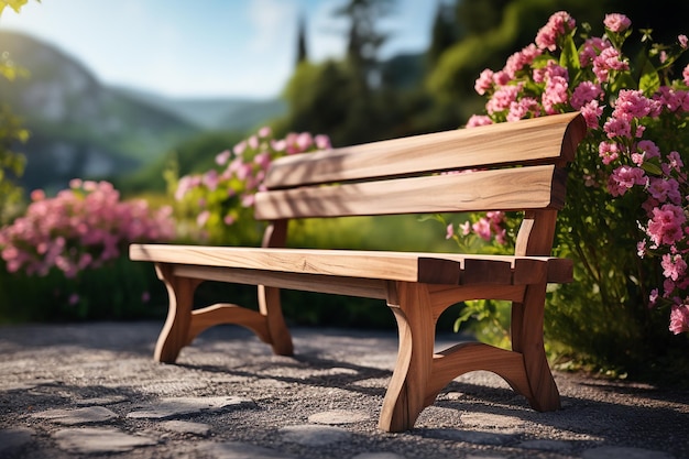 Seitenansicht einer Holzbank mit wunderschönen rosa Blumen im Garten bei hellem Tag