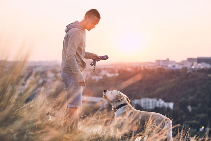 Foto seitenansicht eines mannes mit einem hund, der während des sonnenuntergangs auf dem feld gegen den himmel steht