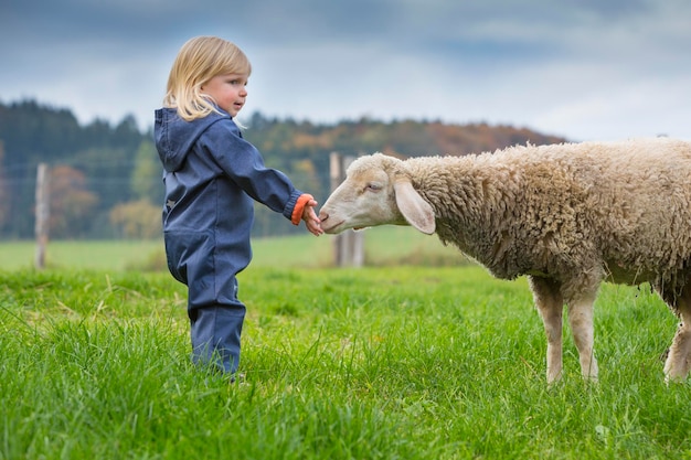Seitenansicht eines Pferdes, das auf dem Feld steht
