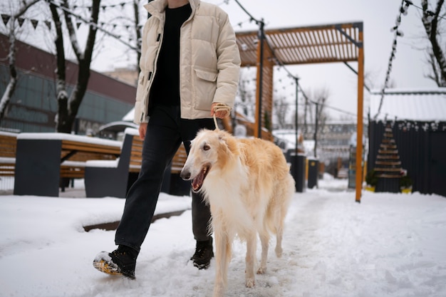 Seitenansicht Mann mit süßem Windhund