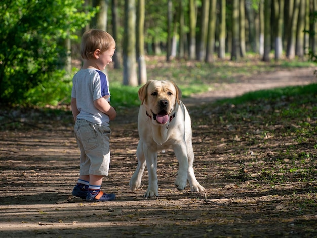 Seitenansicht von einem Jungen, der mit einem Hund im Wald steht
