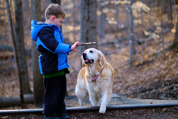 Seitenansicht von einem Jungen mit einem Golden Retriever im Wald