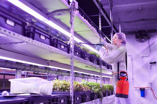 Seitenansichtporträt des weiblichen Landwirtschaftsingenieurs, der Dünger während der Arbeit im Gewächshaus der Baumschule sprüht, beleuchtet durch blaues Licht, Kopienraum