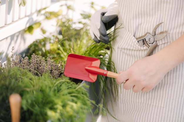 Seitliche Ansicht der menschlichen Hand halten rote Schaufel mit Gartenwerkzeugen für die Landung