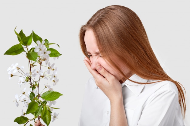 Seitwärts geschossen von unzufriedener Frau leidet an Allergie, steht vor Zweig mit Blüte, niest, fühlt Überempfindlichkeit, gekleidet in elegantes Hemd, isoliert über weißer Wand Krankheit