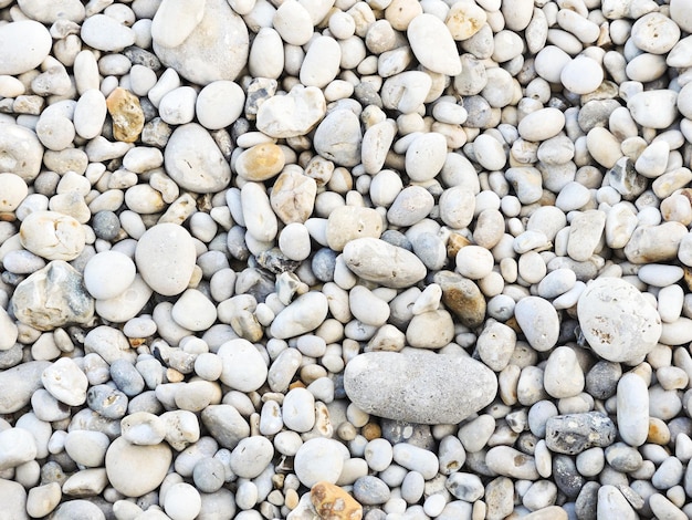 Seixo de pedra na praia de Etretat