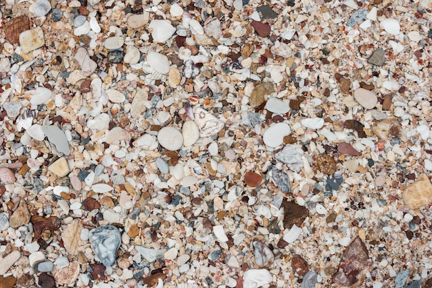 Foto seixos coloridos diferentes ou pedras da praia em uma praia para o fundo da natureza.