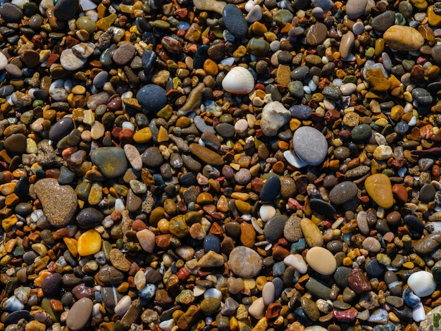 Seixos coloridos na praia