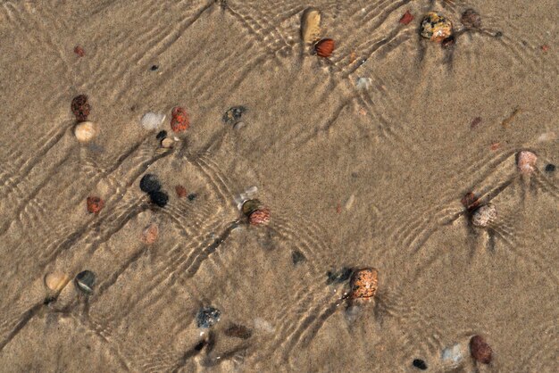 Seixos multicoloridos do mar na areia através da água do mar Báltico Spit Curonian Spit região de Kaliningrado Rússia