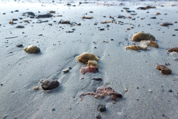 seixos numa praia de areia de manhã