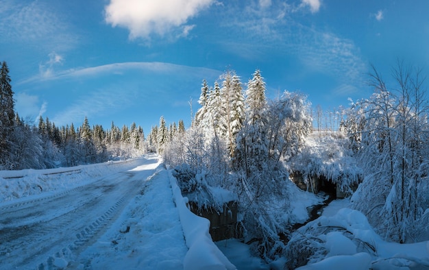 Foto sekundäre alpine landstraße zum abgelegenen bergdorf durch schneebedeckten tannenwald, schneedriften und holzzaun am wegeseite