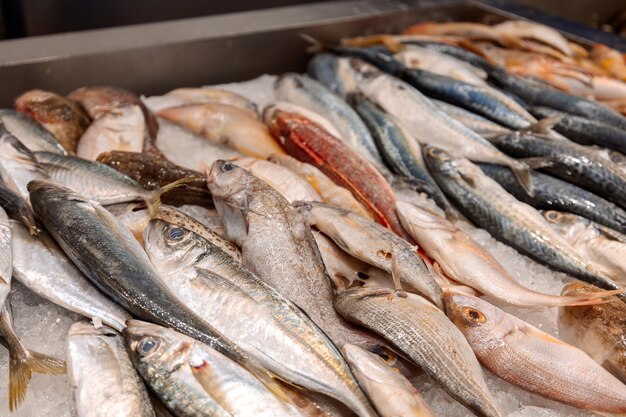 Seleção colorida de frutos do mar no mercado de peixes em Rodes, Grécia