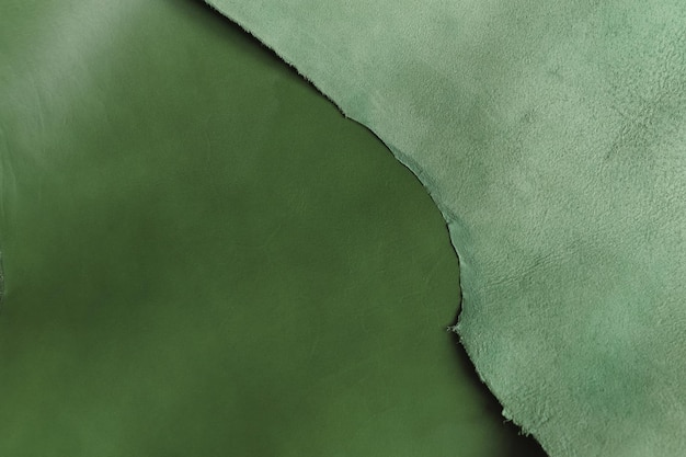 Seleção de amostras de couro verde refinado exemplificando sua beleza inata e versatilidade mergulho
