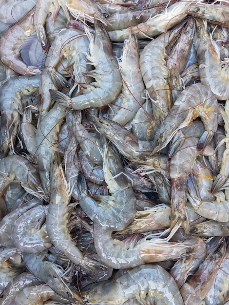 Foto selección de camarones blancos en el mercado.