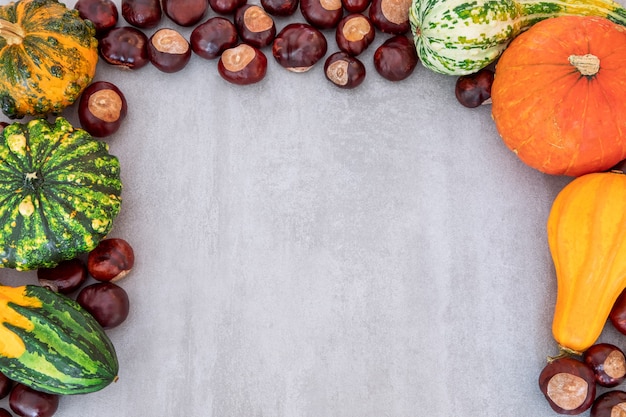 Selección de varias calabazas y castañas sobre fondo de hormigón gris texturizado Flat lay