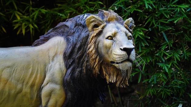 Seleccione el foco de la imagen de primer plano del león temido cara de león