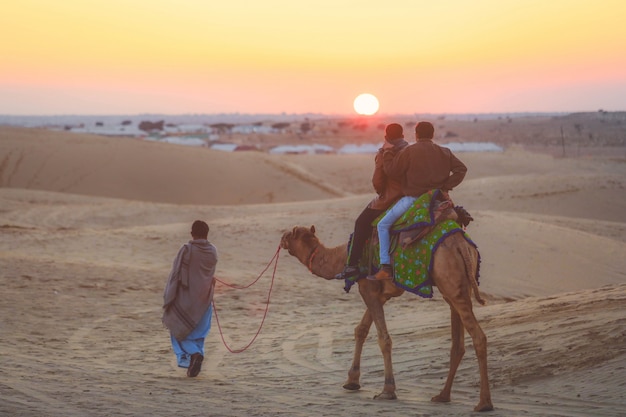 Selektiver Fokus auf den Touristen, die Kamel auf Thar-Wüste in Jaisalmer während des Sonnenuntergangs, Indien reiten.