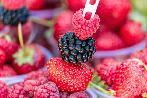 Selektiver Fokus frische Erdbeeren, Himbeeren und Brombeeren in einem Glas Sommer-Strandessen