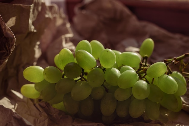 Selektiver Fokus grüner Weinstock auf Recyclingpapier Reife rohe grüne Früchte Nahaufnahme Dessert