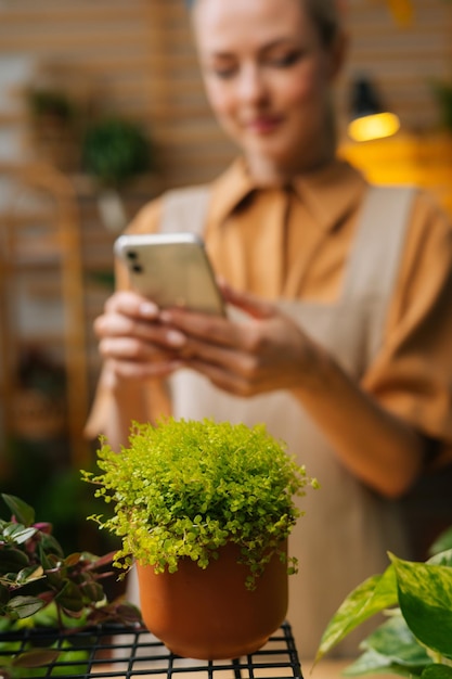 Selektiver Fokus konzentrierter weiblicher Floristinnen, die eine Nachricht an den Kunden schreiben und mit dem Kunden auf dem Handy chatten und auf den Smartphone-Bildschirm schauen