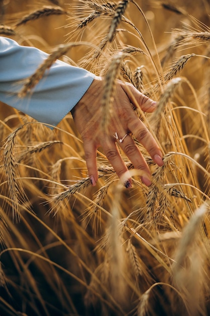 Selektiver Fokus Nahaufnahme einer Hand, die durch ein Weizenfeld läuft