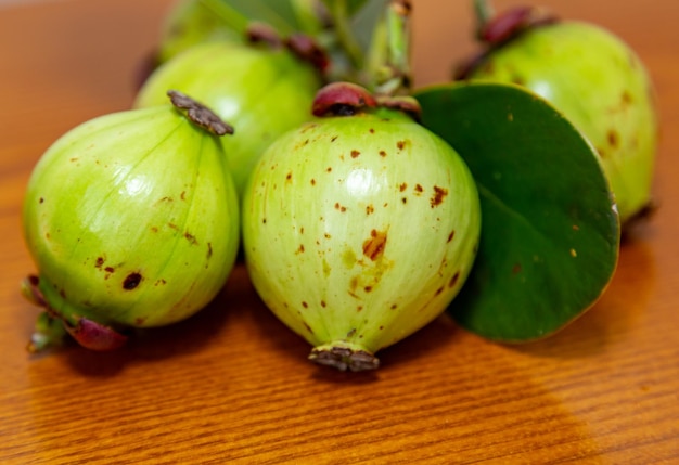 Seltene und exotische tropische Frucht. Botanische Identifizierung nicht gefunden. Mangostanähnliche Frucht