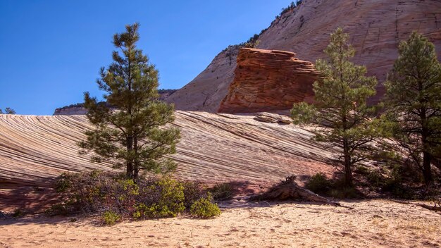 Seltsame Felsformation Checkerboard Mesa in Zion