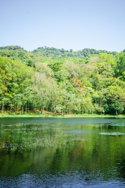 Selva Negra in Matagalpa, See und Bäume im zentralen Berggebiet von Nicaragua