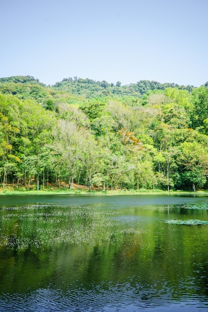 Foto selva negra en matagalpa, lago y árboles en la zona montañosa central de nicaragua