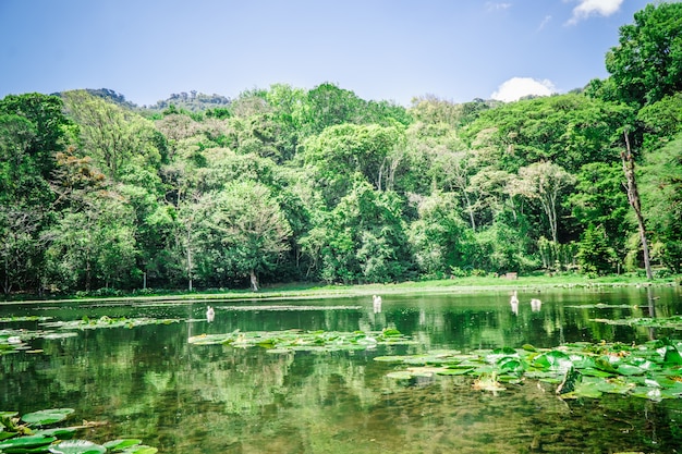 Selva Negra en Matagalpa, lago y árboles en la zona montañosa central de Nicaragua