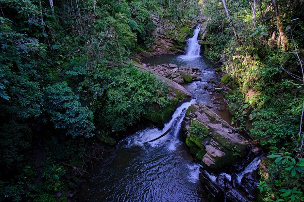 selva y rio