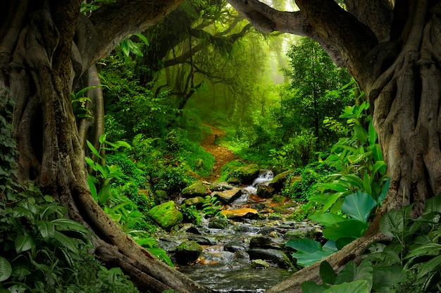 Selva tropical profunda do sudeste asiático