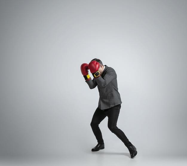 Selvagem e jovem. Homem caucasiano com roupa de escritório boxe com duas luvas vermelhas em fundo cinza