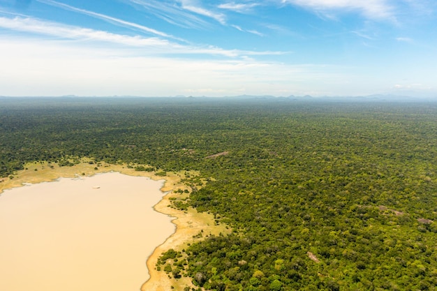 Selvas y bosques tropicales en sri lanka