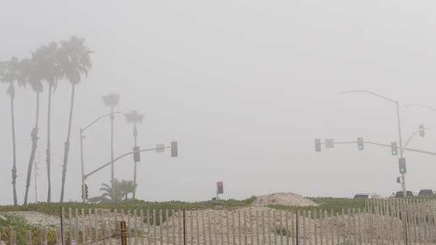 Semáforo de semáforo, estrada da estrada pela praia enevoada de areia, encinitas califórnia eua. costa do oceano pacífico, nevoeiro na costa do mar. litoral perto de los angeles, palmeiras em uma névoa de fumaça. tempo sombrio na costa