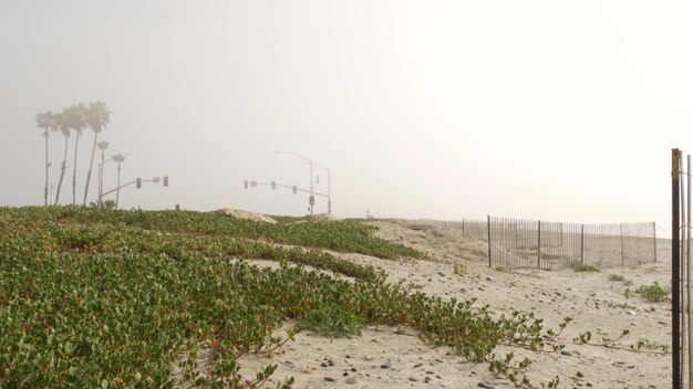 Semáforo semáforo, carretera por Sandy Misty Beach, Encinitas California USA. Costa del océano Pacífico, niebla en la orilla del mar. Costa cerca de Los Ángeles, palmeras en neblina de smog. Clima sombrío en la costa