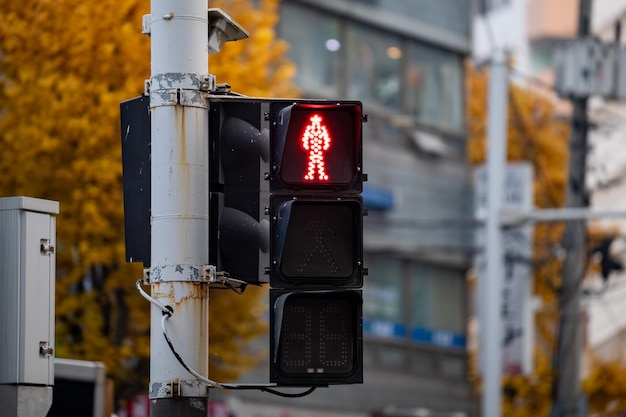 Un semáforo con un semáforo para peatones en rojo encendido. Corea del Sur.