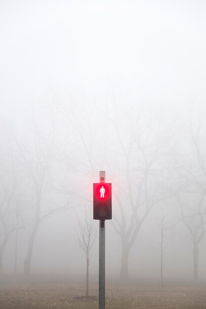 Semáforos en el brumoso día de invierno