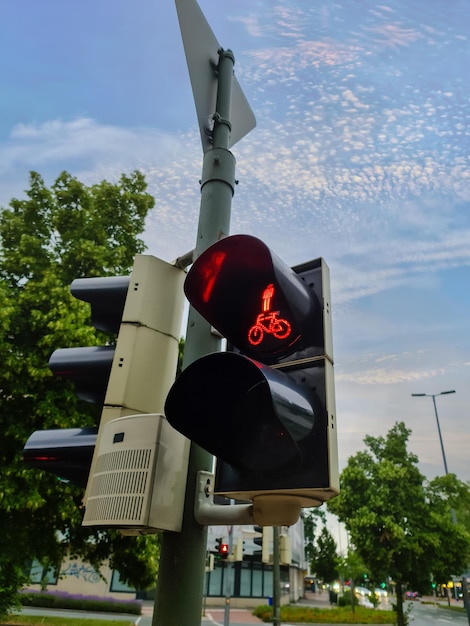 Foto semáforos verdes y rojos para peatones y bicicletas.