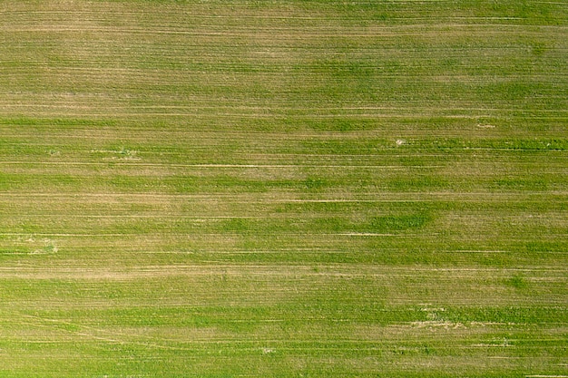 Foto semeado campo agrícola vista de cima