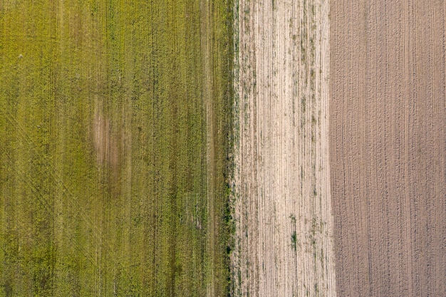 semeado vista do campo agrícola de cima