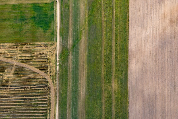 semeado vista do campo agrícola de cima