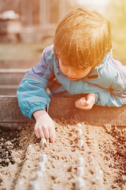 Semeadura de plantio de primavera no jardim da fazenda, pequeno garoto de seis anos, agricultor, jardineiro, plantas e semear sementes de vegetais no solo na jardinagem da cama e início da temporada de verão na aldeia rural flare