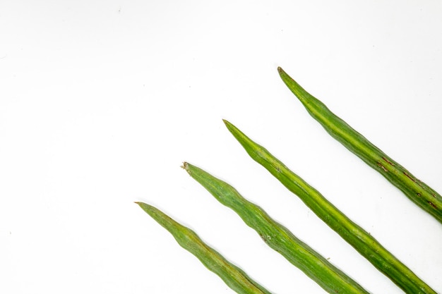 Sementes de baqueta verde Moringa oleifera feijão moringa fundo branco