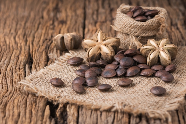 sementes de cápsulas secas frutas de amendoim sacha-Inchi