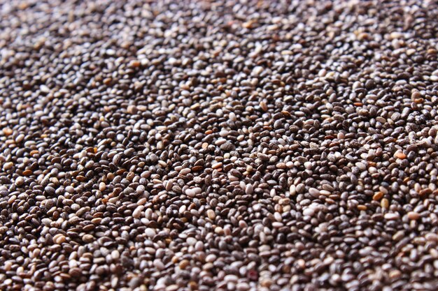 Sementes de chia em um fundo branco closeup suplemento alimentar superalimento