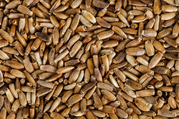 Sementes de pássaros, alimentos granulados misturados para canários e periquitos